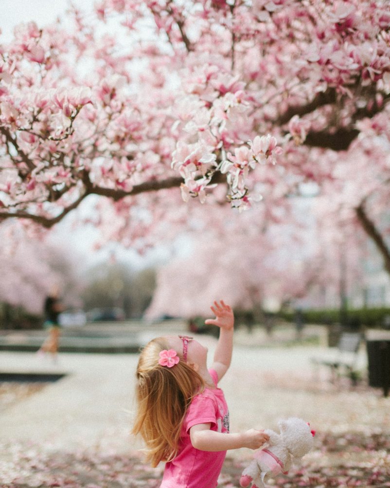 enfant arbre rose diagnostic