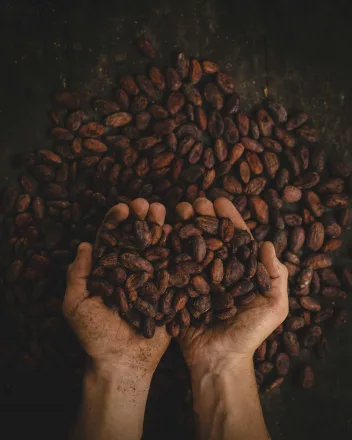 chocolat
