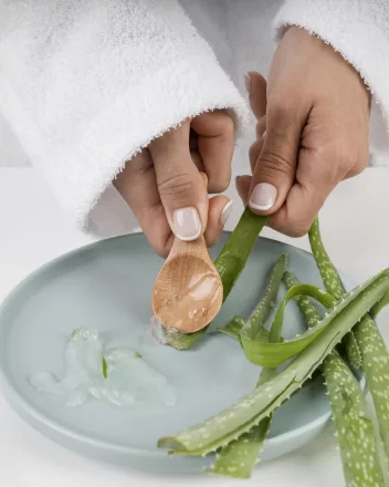 aloe vera