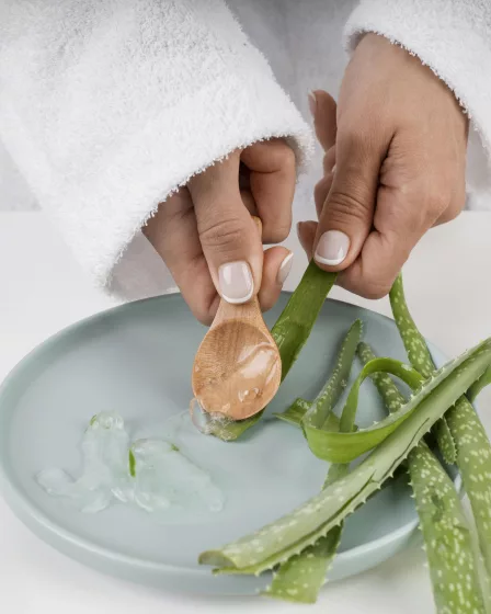 aloe vera