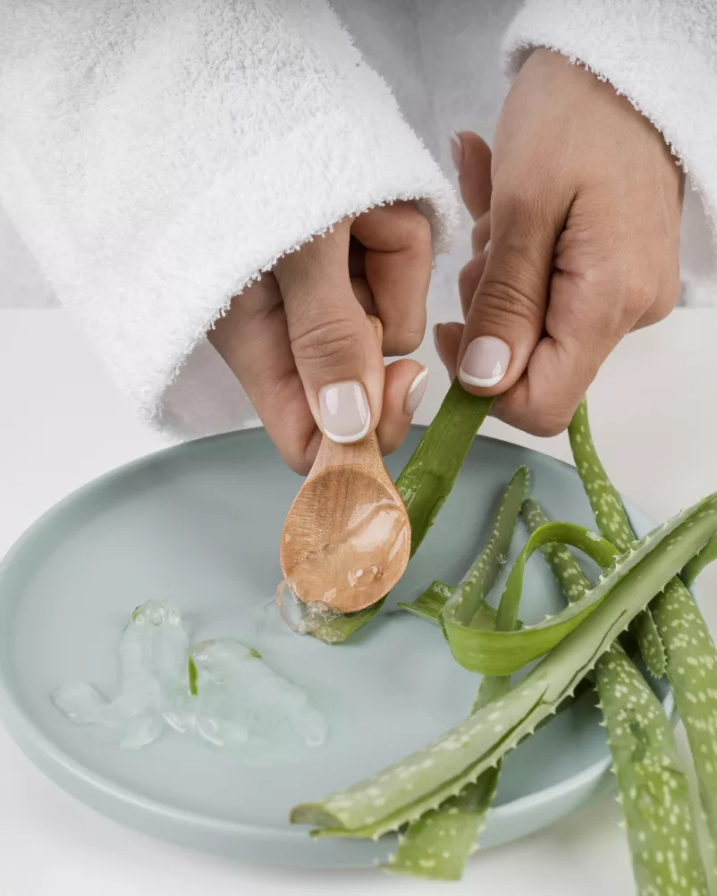 aloe vera