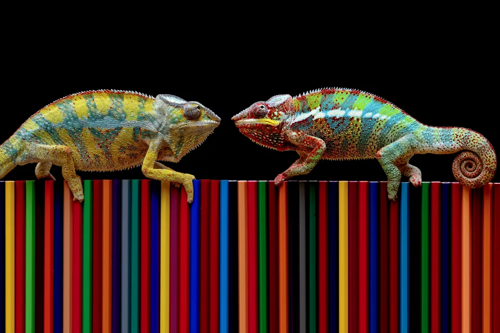 two lizards on a ledge