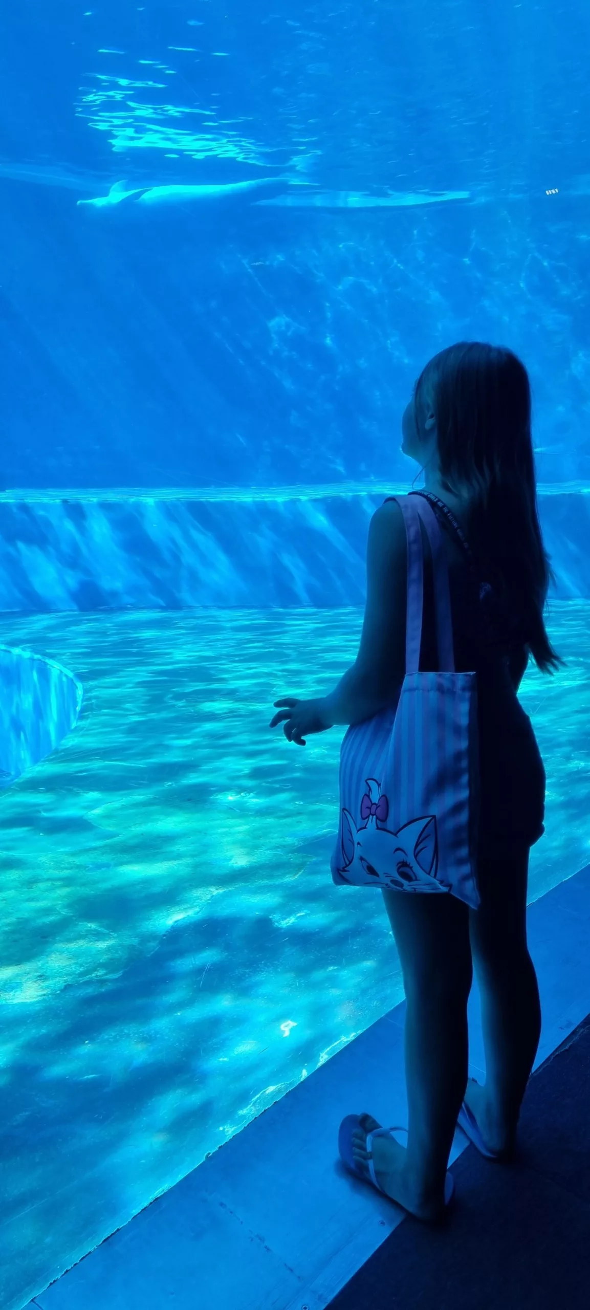 Aquarium de Gênes