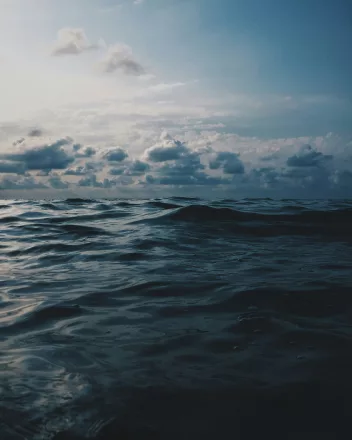 bienfaits de la mer