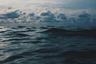 bienfaits de la mer