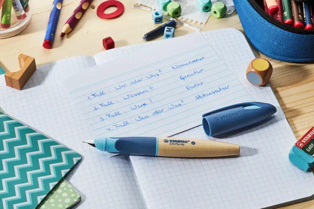 stylo ergonomique stabylo