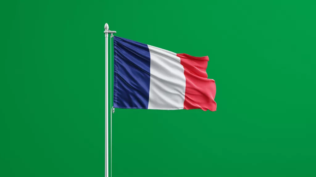 Drapeau tricolore français flottant sur fond vert, symbolisant le système de prise en charge des TND en France